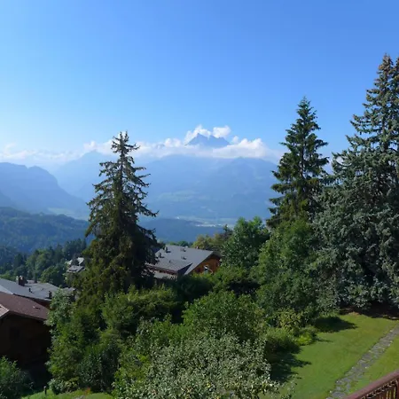 Richemont-rocailles 5 * Chesieres